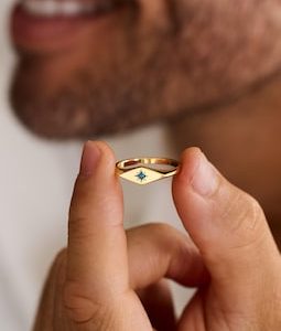 Birthstone Signet Ring, Star Setting Ring, Mens Personalized Jewelry, Dainty Pinky Ring for Him, Unique Birthday Gift, Anniversary Jewelry